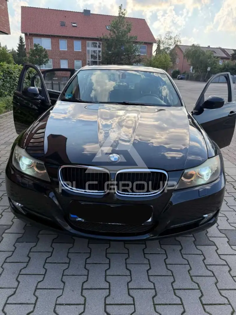 2009 BMW 318