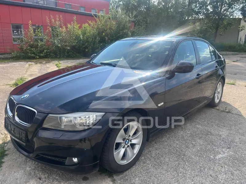 2009 BMW 318