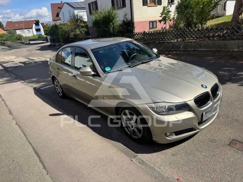 2009 BMW 318