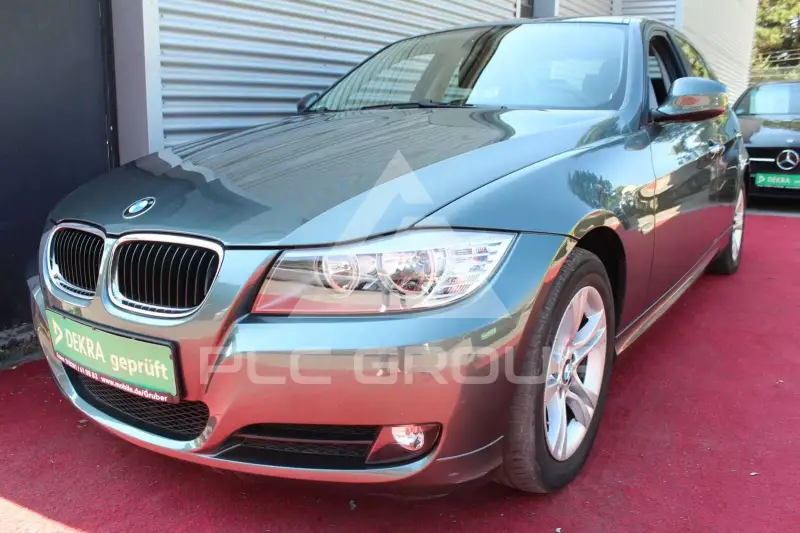 2009 BMW 318