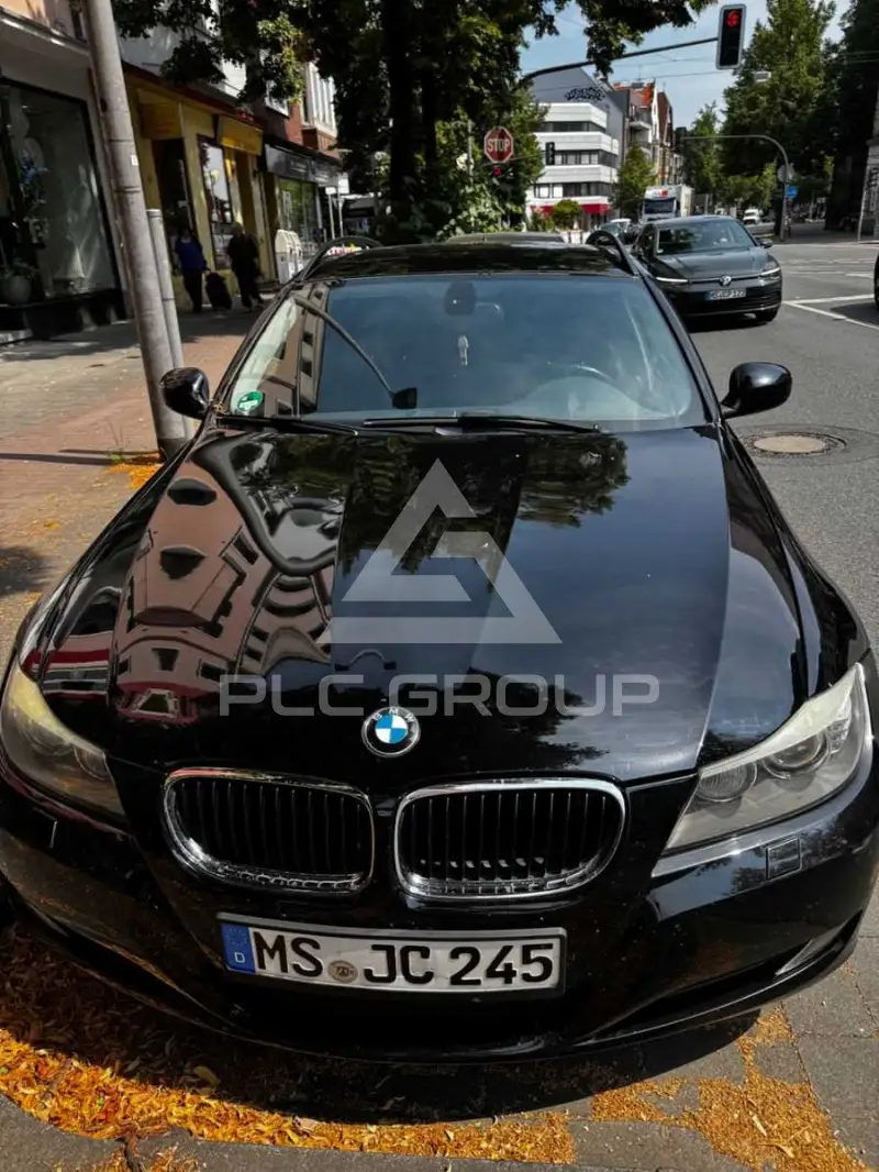 2009 BMW 318
