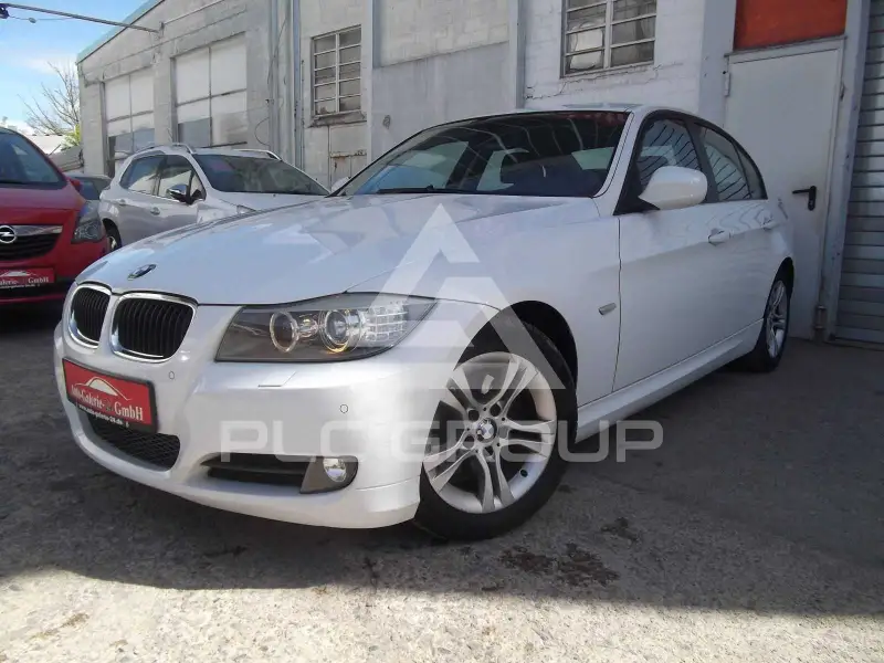 2009 BMW 318