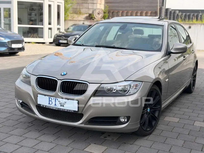2009 BMW 318