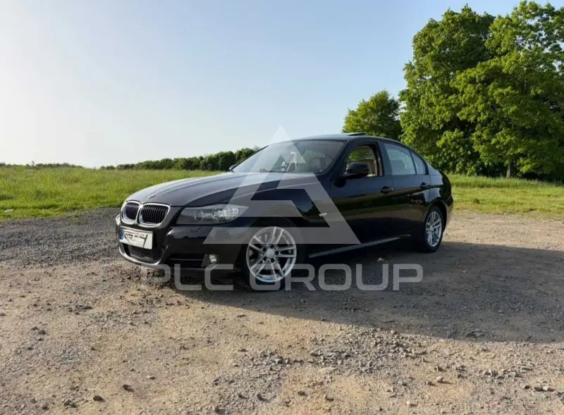2009 BMW 318