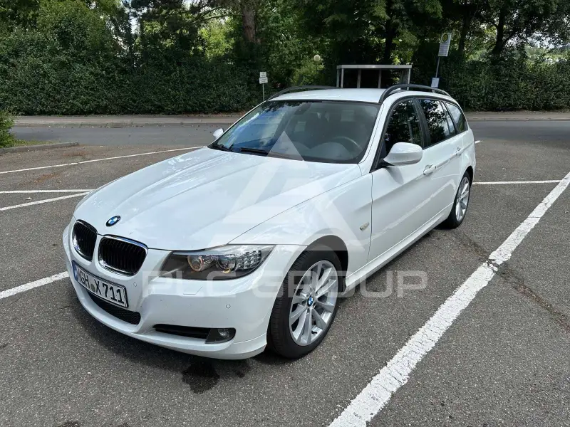 2009 BMW 318