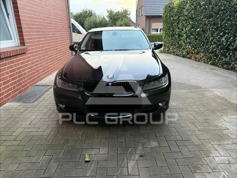 2009 BMW 318