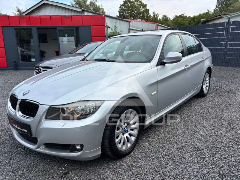 2009 BMW 318