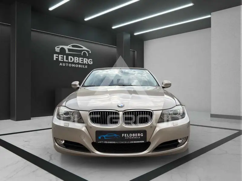 2009 BMW 318