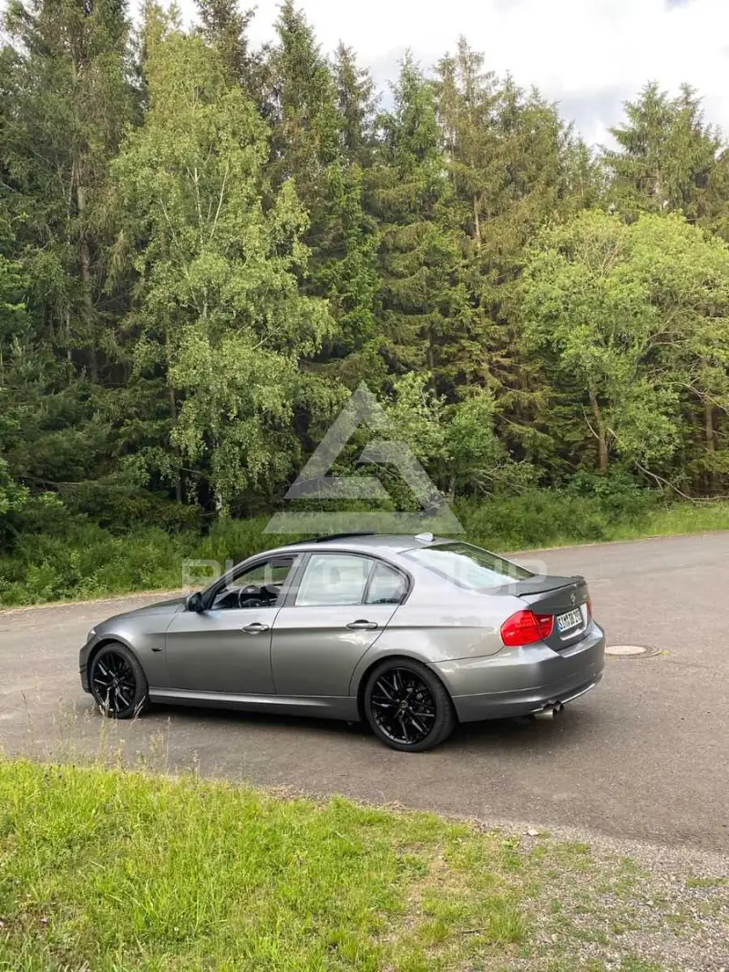 2009 BMW 318