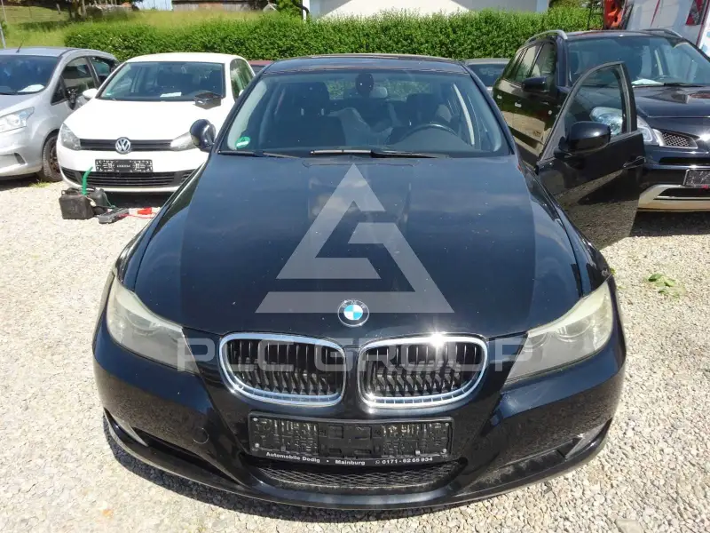 2009 BMW 318