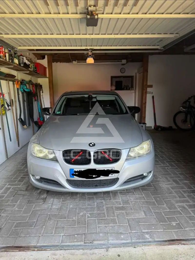 2009 BMW 318