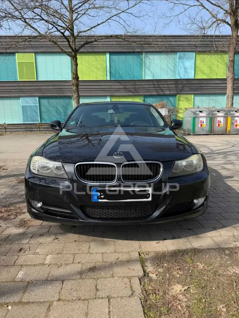2009 BMW 318