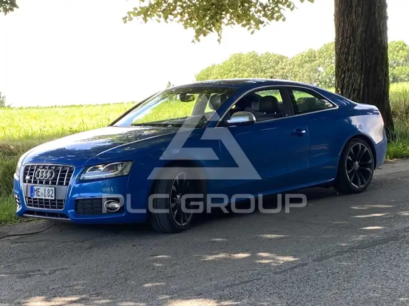 2009 Audi S5