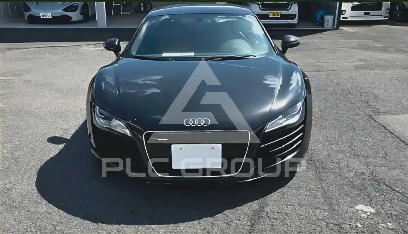 2009 Audi R8