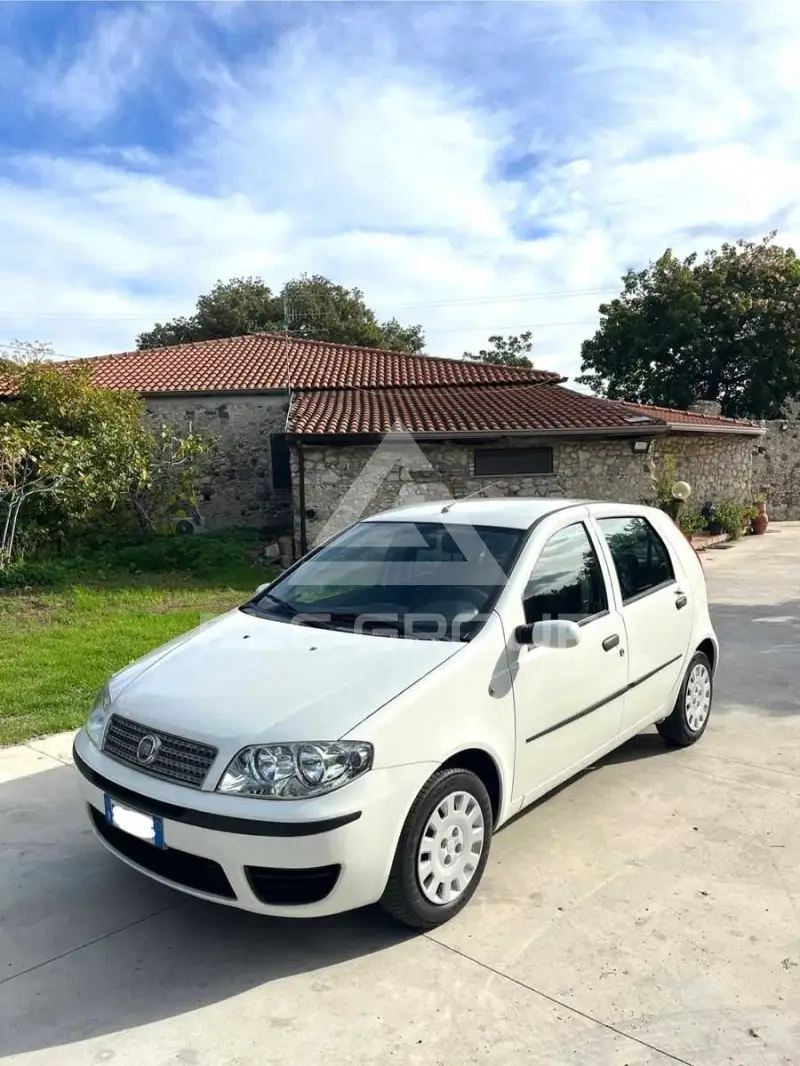 2009 Fiat Punto