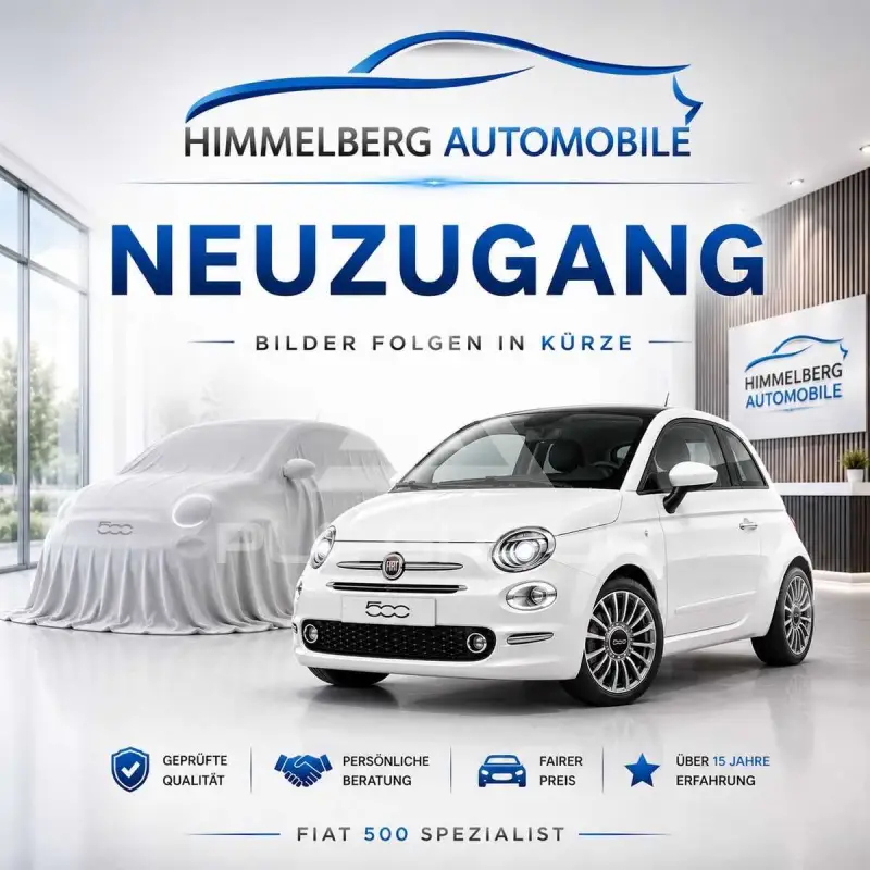 2009 Fiat 500