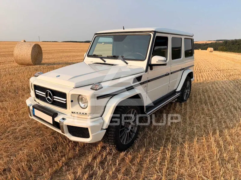 2009 Mercedes Benz G 500