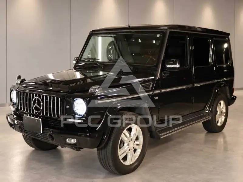 2009 Mercedes Benz G 500
