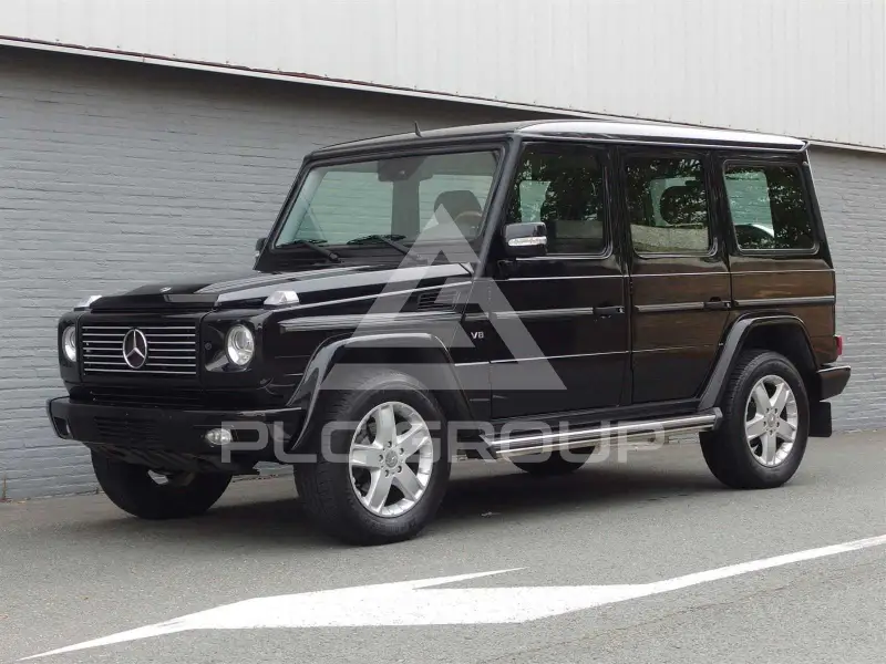 2009 Mercedes Benz G 500