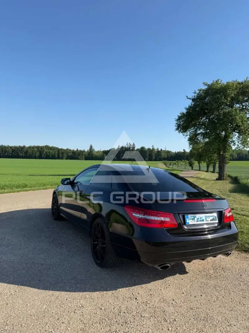 2009 Mercedes Benz E 350