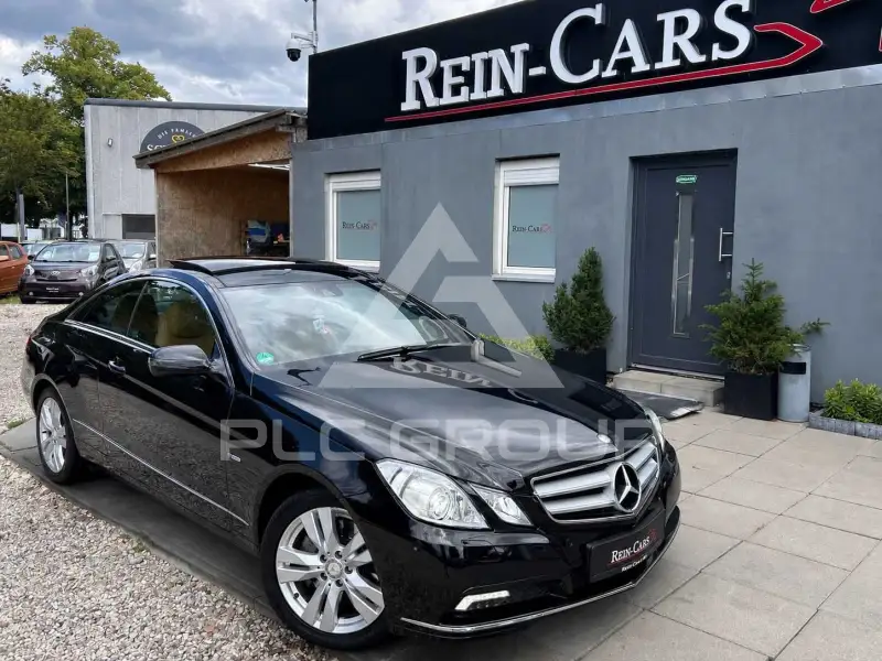 2009 Mercedes Benz E 350