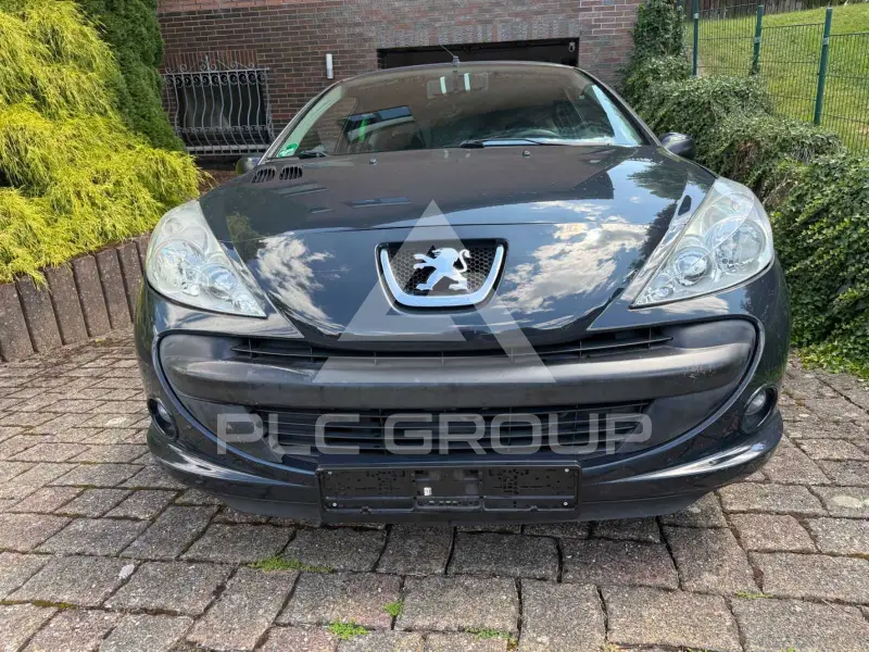2009 Peugeot 206