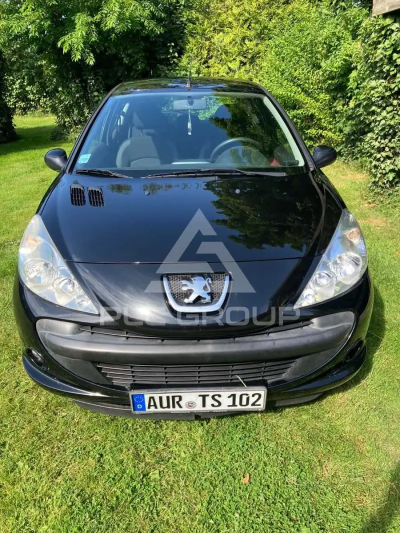 2009 Peugeot 206