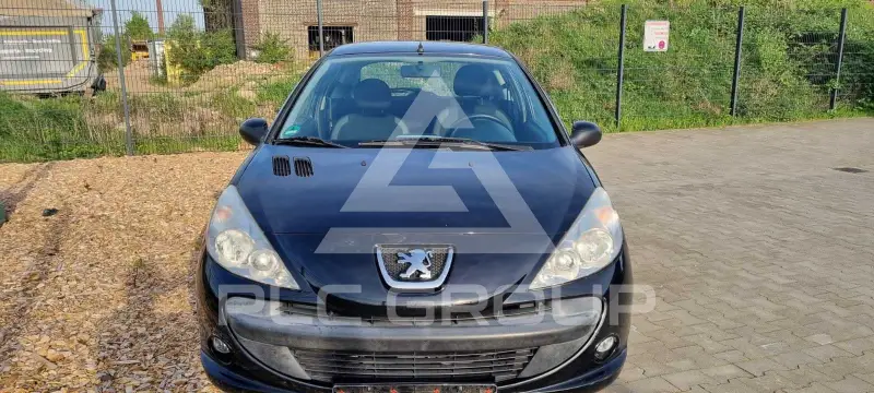 2009 Peugeot 206