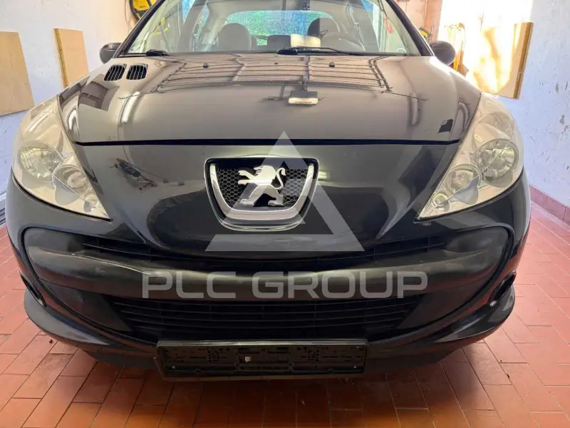 2009 Peugeot 206