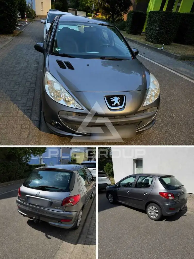 2009 Peugeot 206