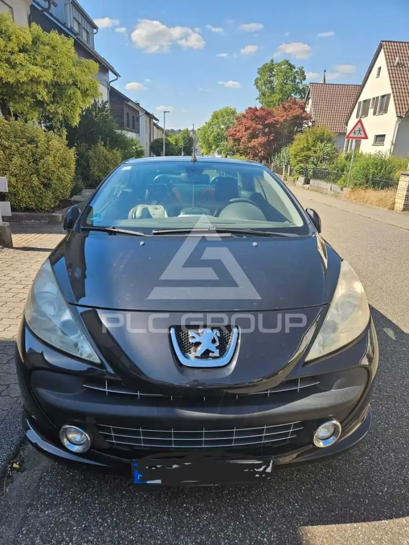 2009 Peugeot 307