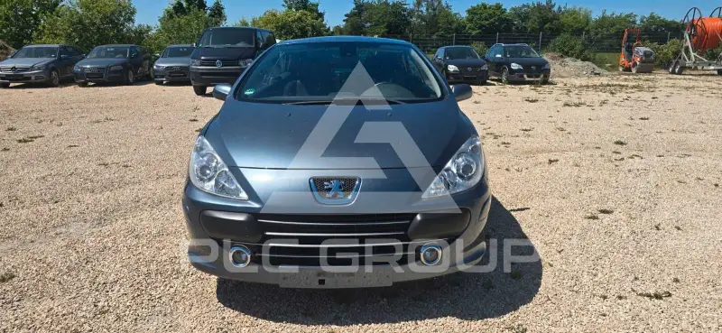 2009 Peugeot 307