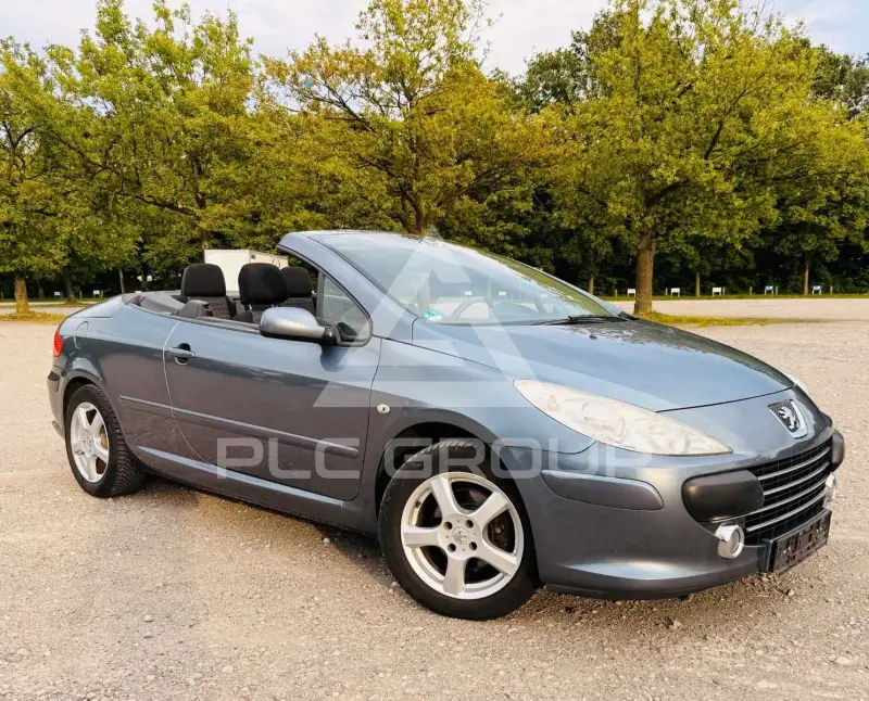 2009 Peugeot 307