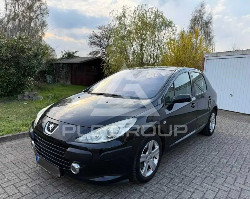 2009 Peugeot 307