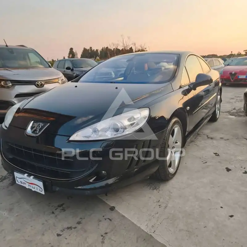 2009 Peugeot 407