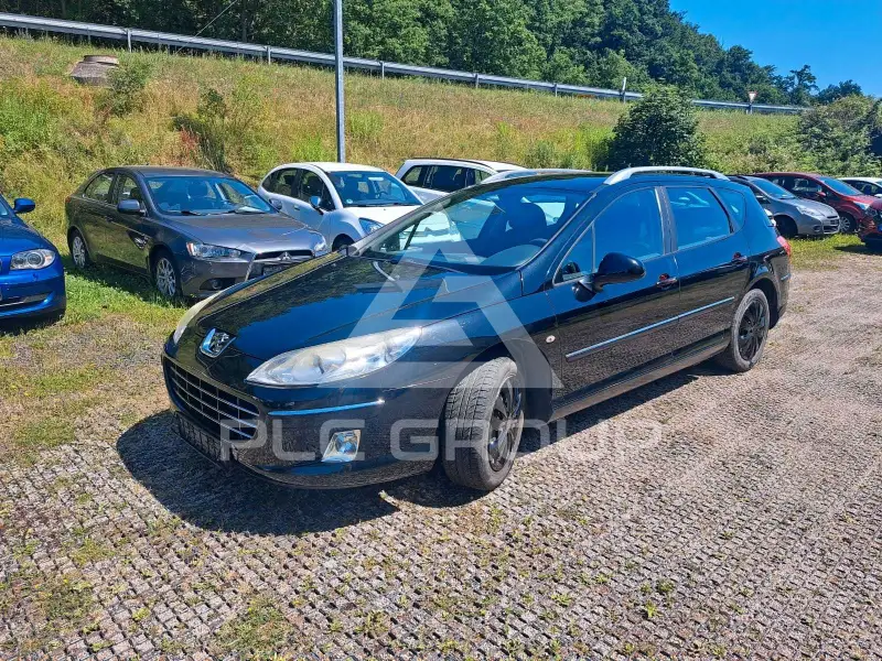 2009 Peugeot 407