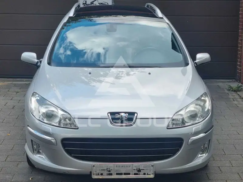 2009 Peugeot 407