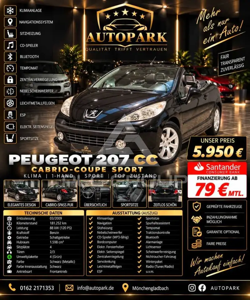 2009 Peugeot 207