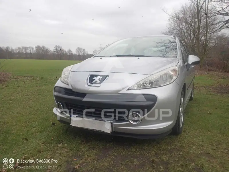 2009 Peugeot 207