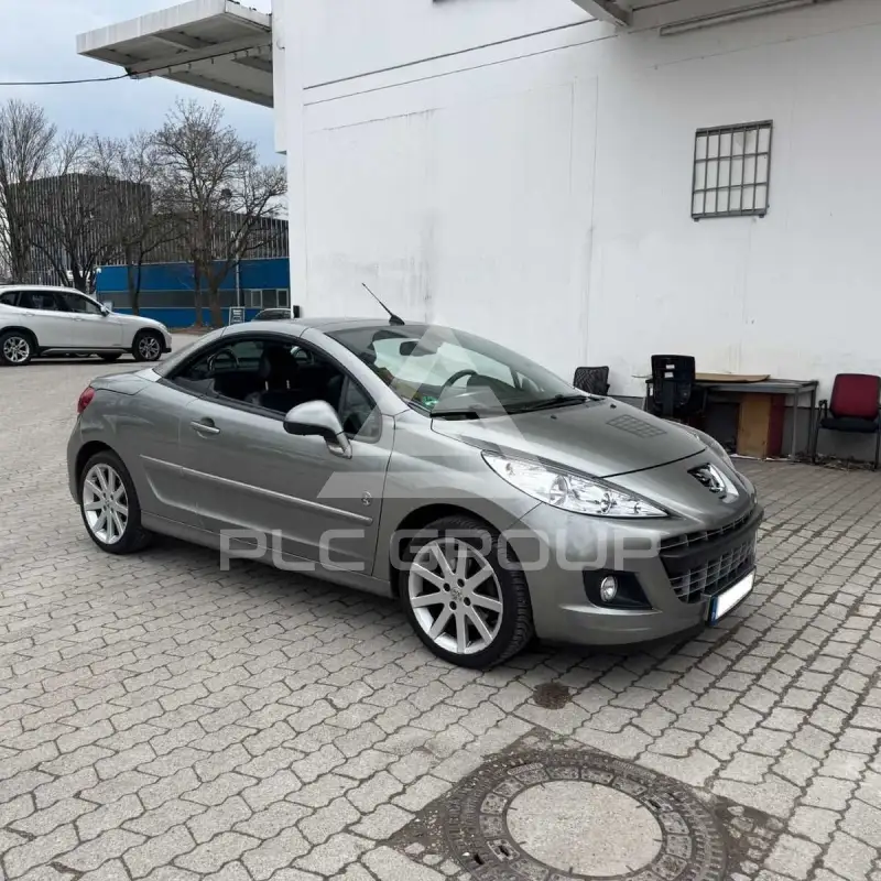 2009 Peugeot 207