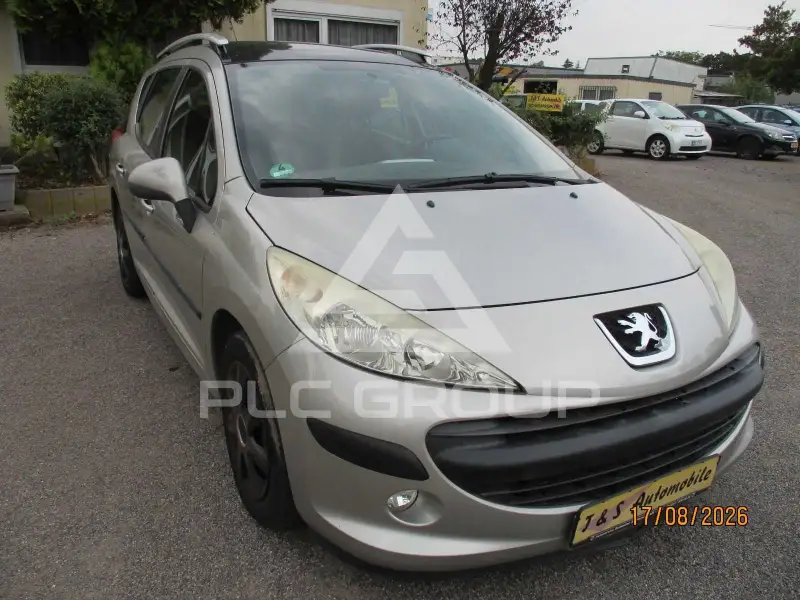 2009 Peugeot 207