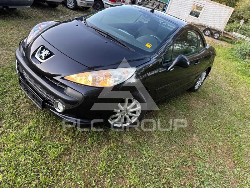 2009 Peugeot 207