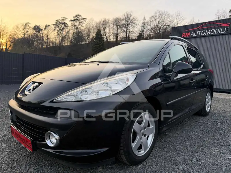 2009 Peugeot 207