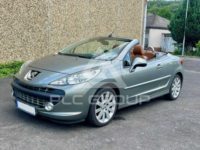 2009 Peugeot 207