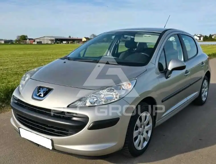2009 Peugeot 207