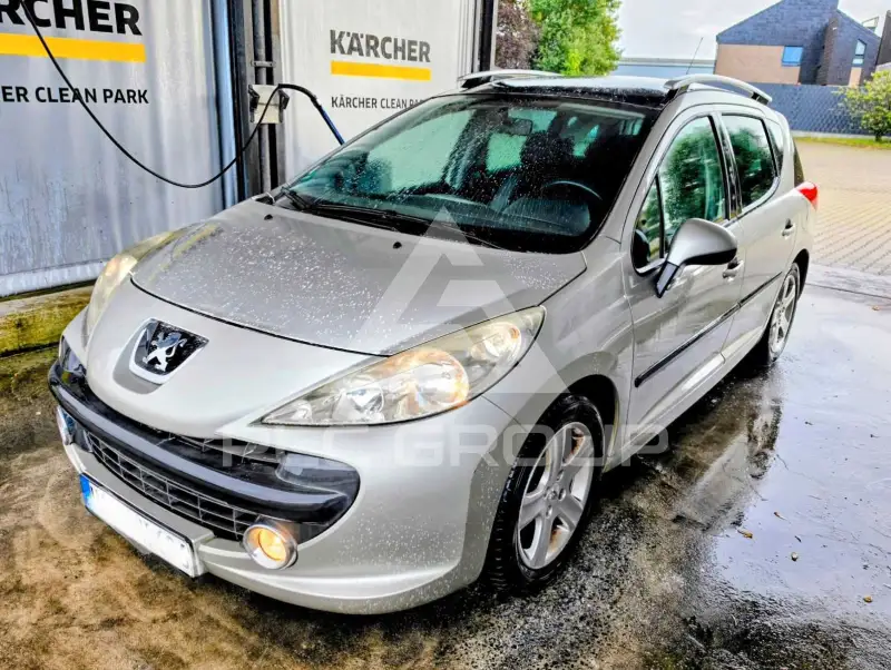 2009 Peugeot 207