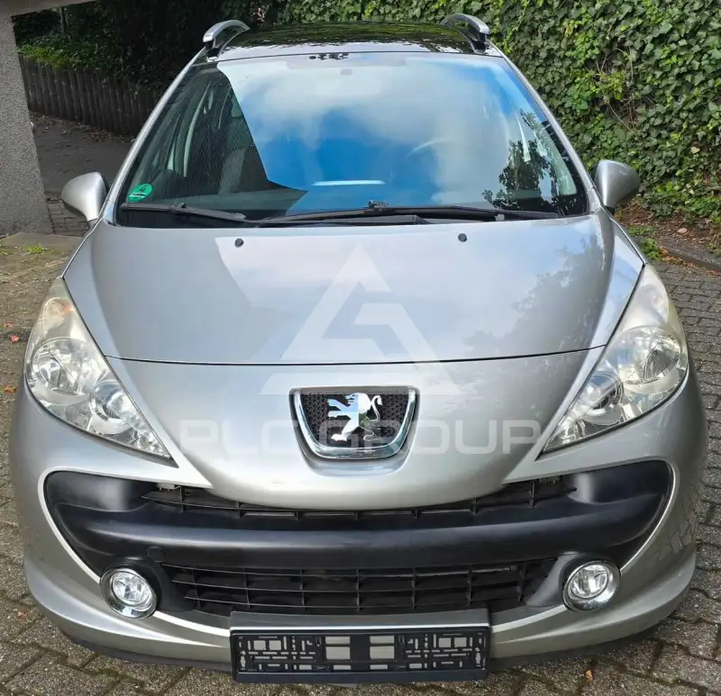 2009 Peugeot 207