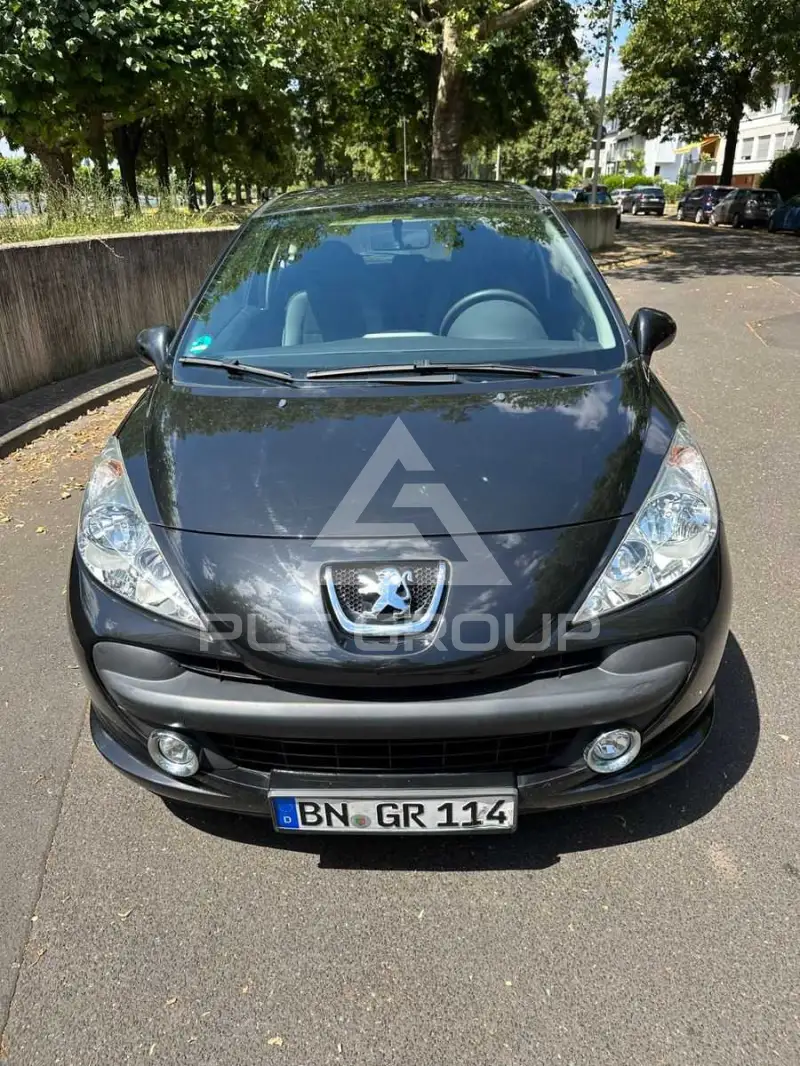 2009 Peugeot 207