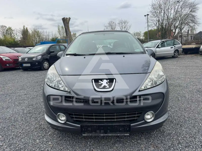 2009 Peugeot 207