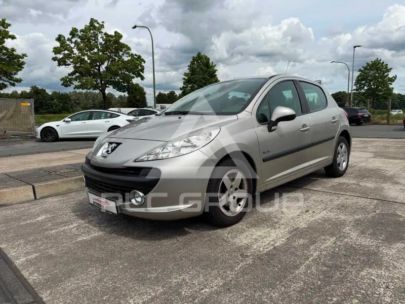2009 Peugeot 207